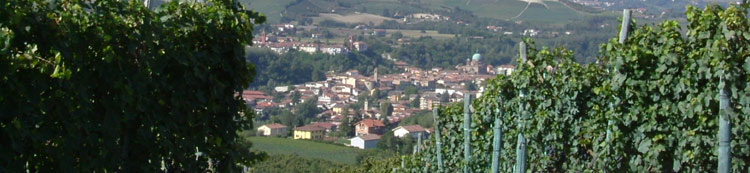 Vue de Dogliani depuis le domaine